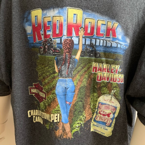 Grey Harley Davidson graphic top - Picture 7 of 8